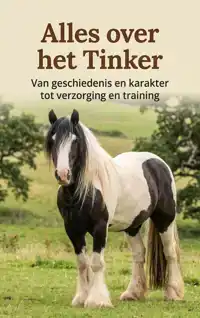 ALLES OVER HET TINKER