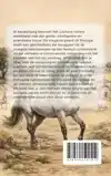 ALLES OVER HET LUSITANO