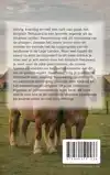 ALLES OVER HET BELGISCH TREKPAARD