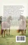ALLES OVER HET AMERICAN SADDLEBRED