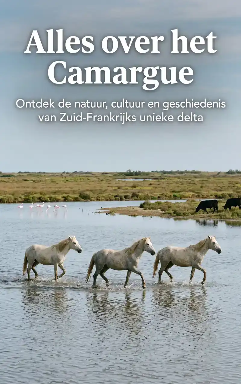 ALLES OVER HET CAMARGUE