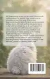 ALLES OVER HET ANGORAKONIJN