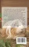 ALLES OVER DE PERUAANSE CAVIA