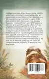 ALLES OVER DE ABESSIJNSE CAVIA