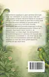 ALLES OVER DE AMAZONE PAPEGAAI