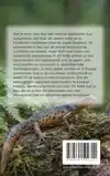 ALLES OVER DE SALAMANDER