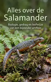 ALLES OVER DE SALAMANDER