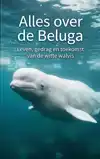 ALLES OVER DE BELUGA