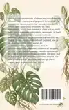 ALLES OVER DE MONSTERA
