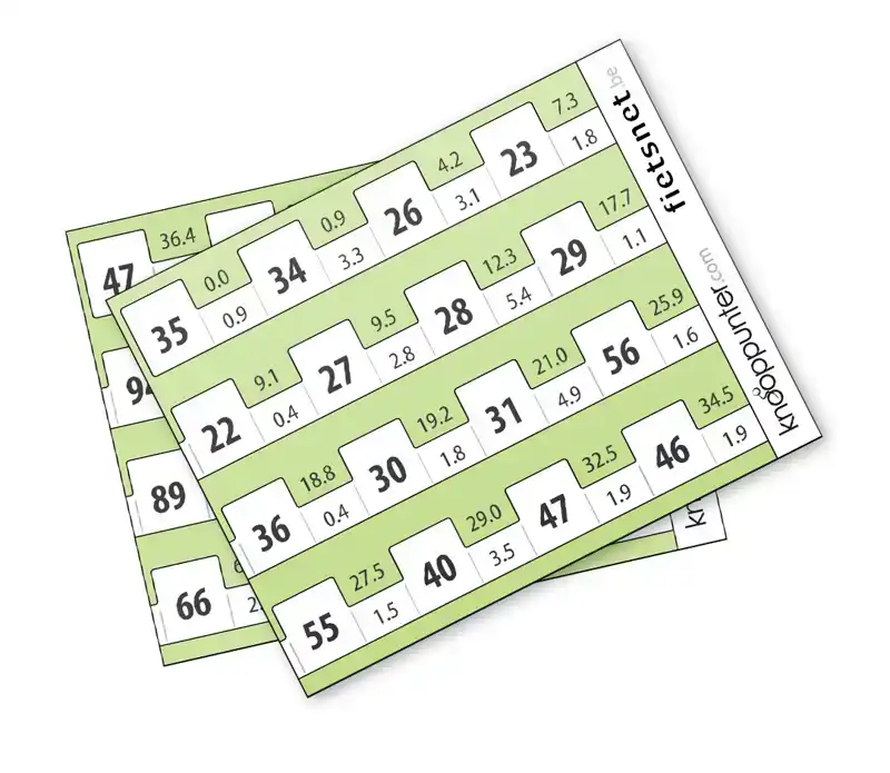 KNOOPPUNTER - SET BLANCO ROUTEKAARTJES