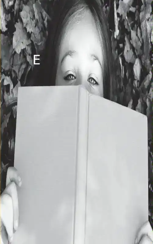 SNELSONNETTEN EN ANDERE GEDICHTEN