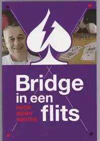 BRIDGE IN EEN FLITS