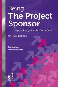 BEING THE PROJECT SPONSOR