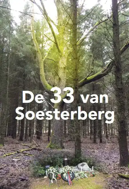 DE 33 VAN SOESTERBERG