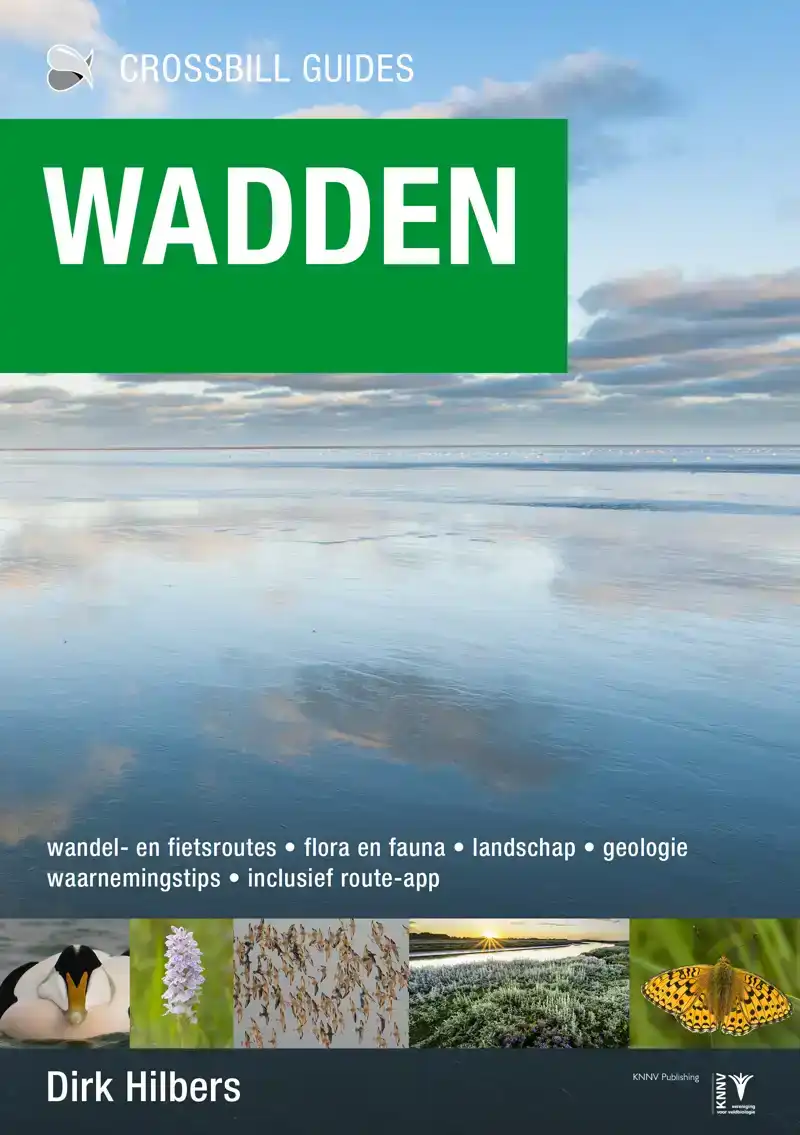 CROSSBILL GUIDE WADDEN