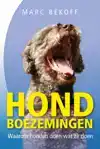 HONDBOEZEMINGEN