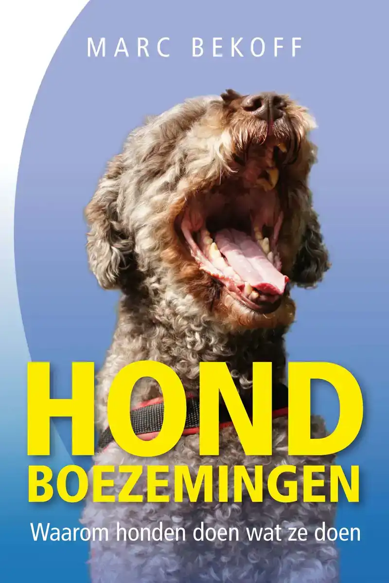 HONDBOEZEMINGEN