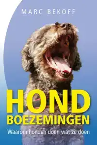 HONDBOEZEMINGEN