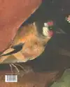 BOSCH IN DETAIL