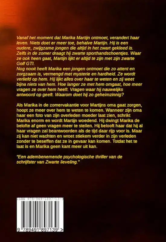 DE TRAP NAAR DE HEMEL