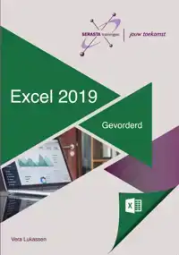 EXCEL 2019 GEVORDERD