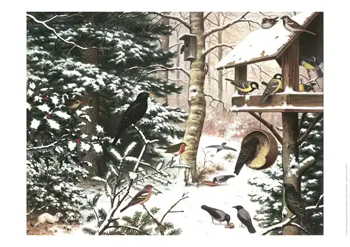 SCHOOLPLAAT VOGELS IN DE WINTER