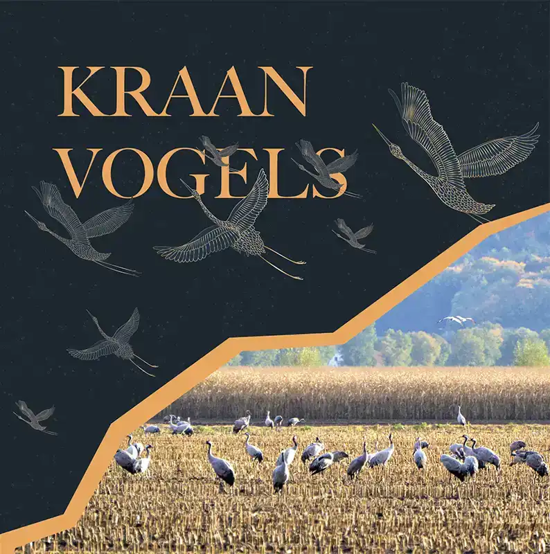 KRAANVOGELS