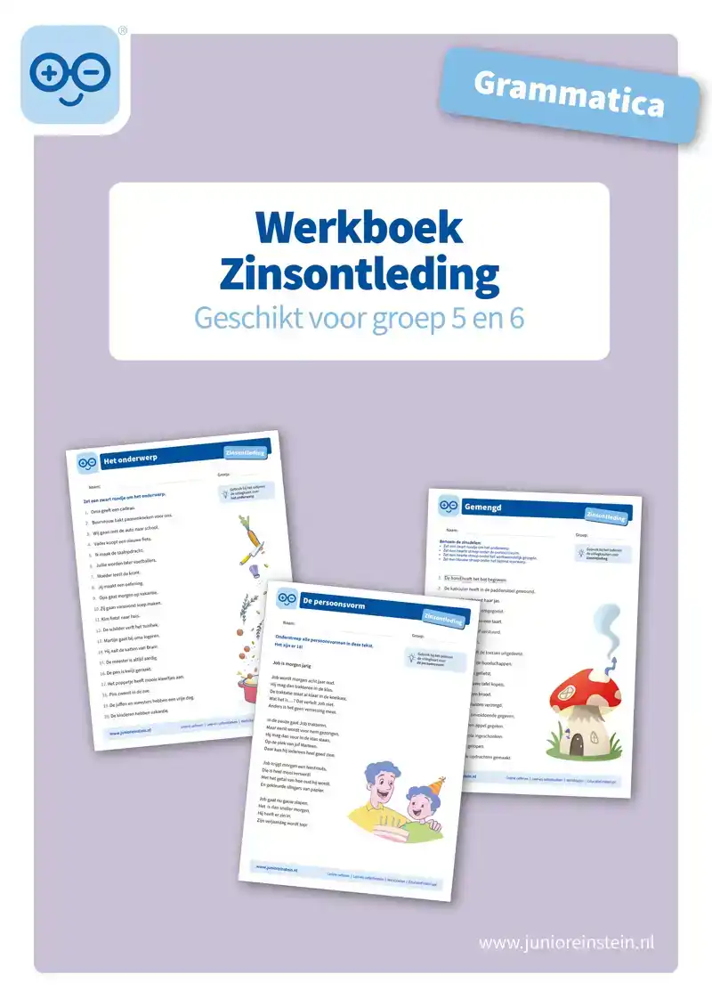 ZINSONTLEDING WERKBOEK GRAMMATICA VOOR GROEP 5 EN 6
