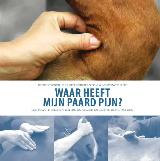 WAAR HEEFT MIJN PAARD PIJN?