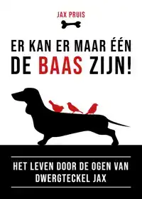 ER KAN ER MAAR EEN DE BAAS ZIJN