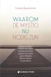 WAAROM DE MYSTICI NU VAN BELANG ZIJN