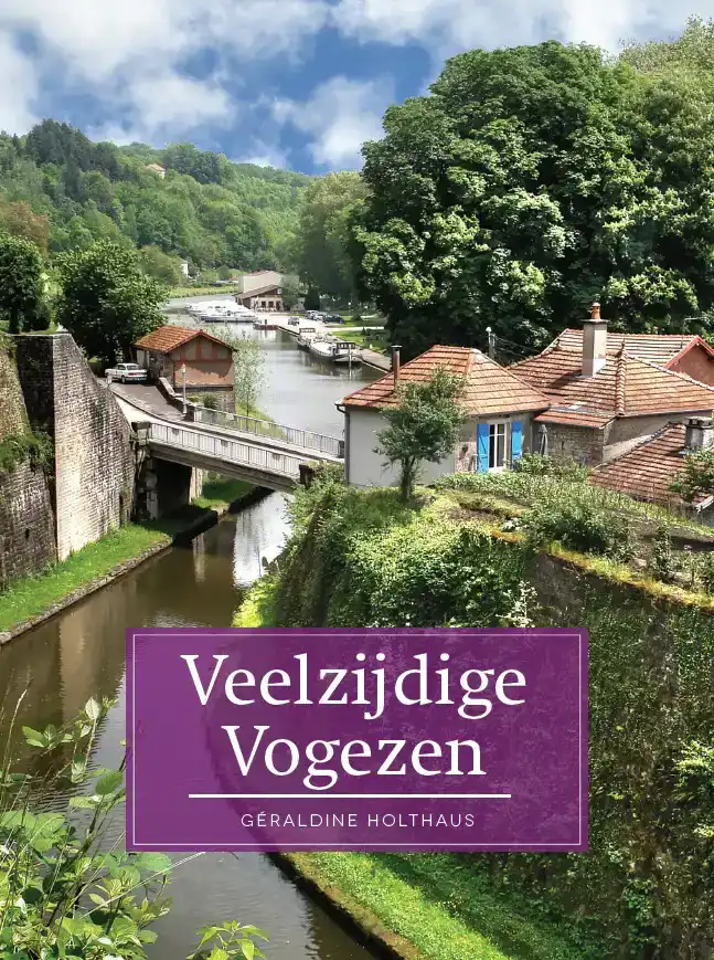 VEELZIJDIG VOGEZEN