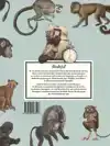 SNOTAPEN (BUNDELING SNOTAPEN1&2)