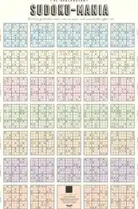STRATIER XL SPELPOSTER - SUDOKU-MANIA