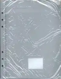 PICTOGENDA PLASTIC INSTEEKHOES (SET VAN 2)