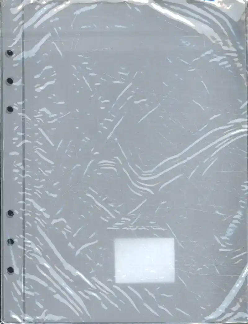 PICTOGENDA PLASTIC INSTEEKHOES (SET VAN 2)