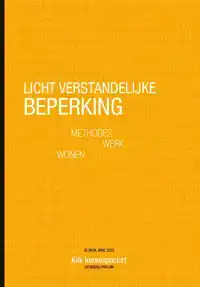 LICHT VERSTANDELIJKE BEPERKING