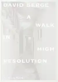 DAVID BERGE. A WALK IN HIGH RESOLUTION
