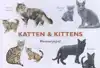 KATTEN & KITTENS