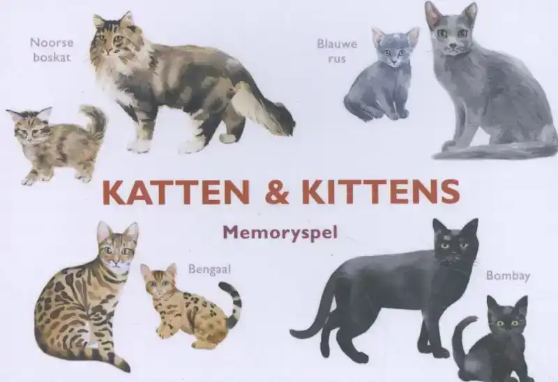 KATTEN & KITTENS
