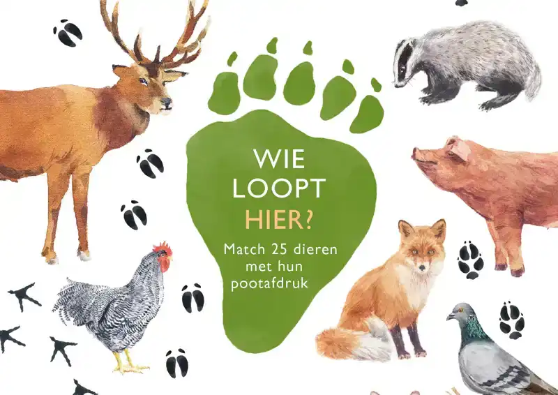 WIE LOOPT HIER?