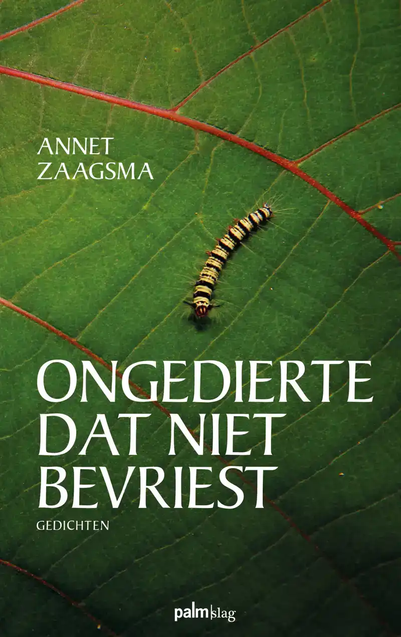 ONGEDIERTE DAT NIET BEVRIEST