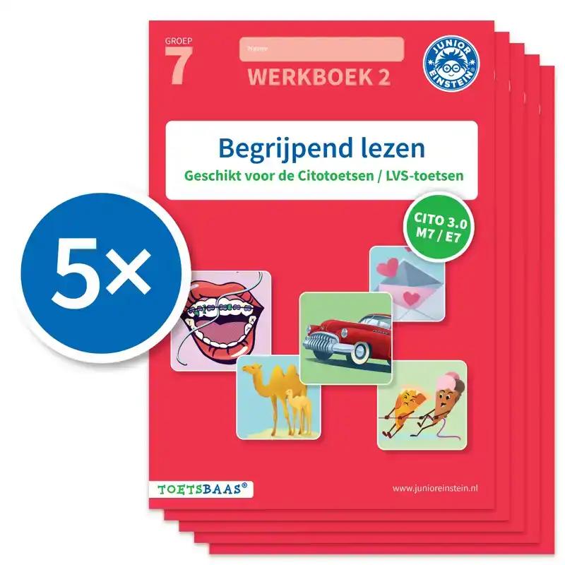 BEGRIJPEND LEZEN WERKBOEK 2 (SET VAN 5)