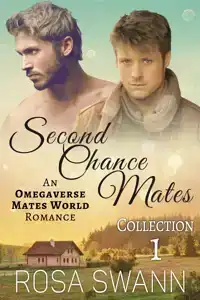 SECOND CHANCE MATES COLLECTION 1