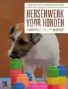 HERSENWERK VOOR HONDEN