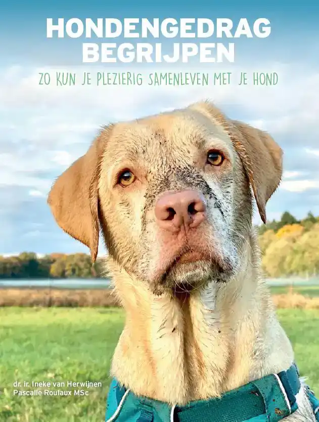 HONDENGEDRAG BEGRIJPEN