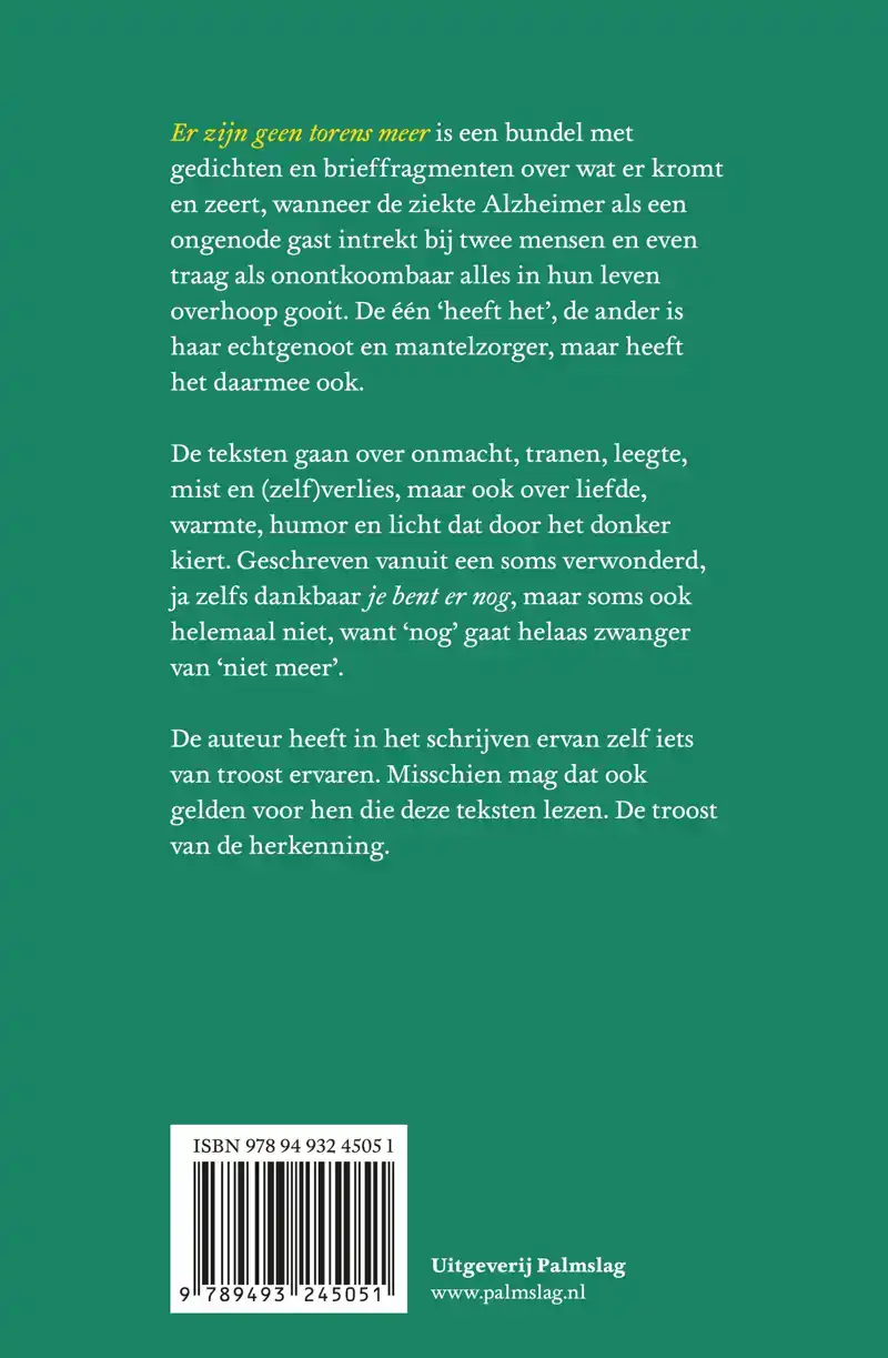 ER ZIJN GEEN TORENS MEER