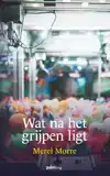WAT NA HET GRIJPEN LIGT