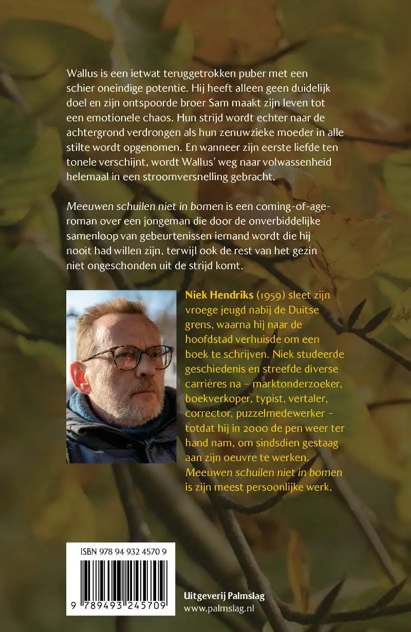 MEEUWEN SCHUILEN NIET IN BOMEN