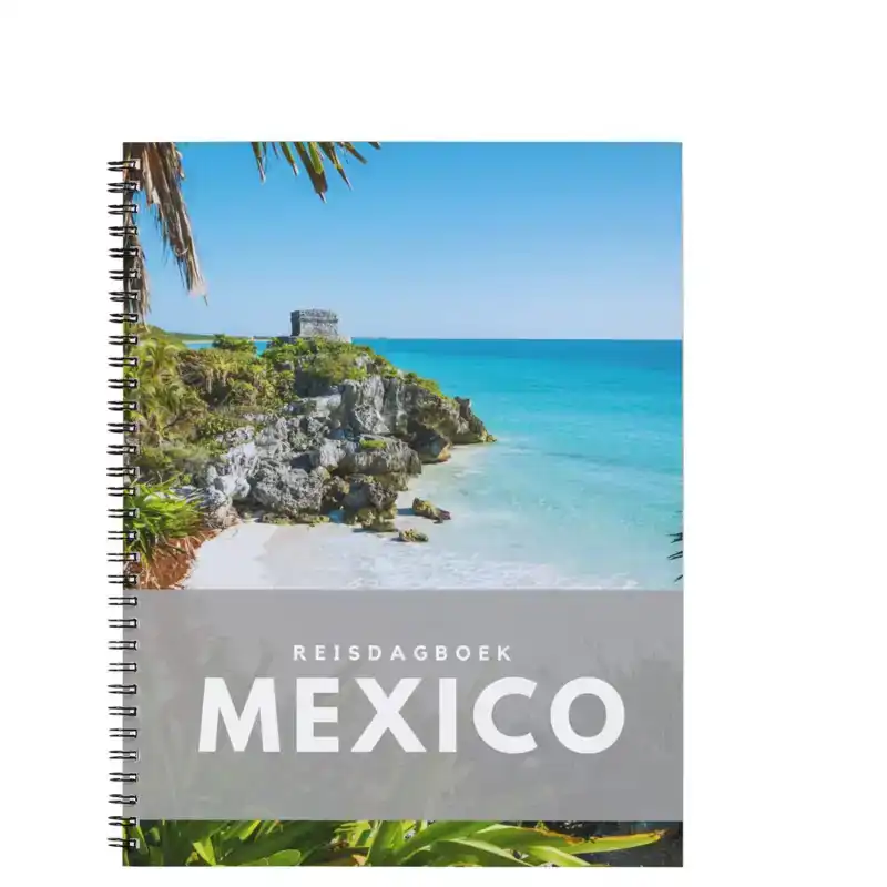 REISDAGBOEK MEXICO